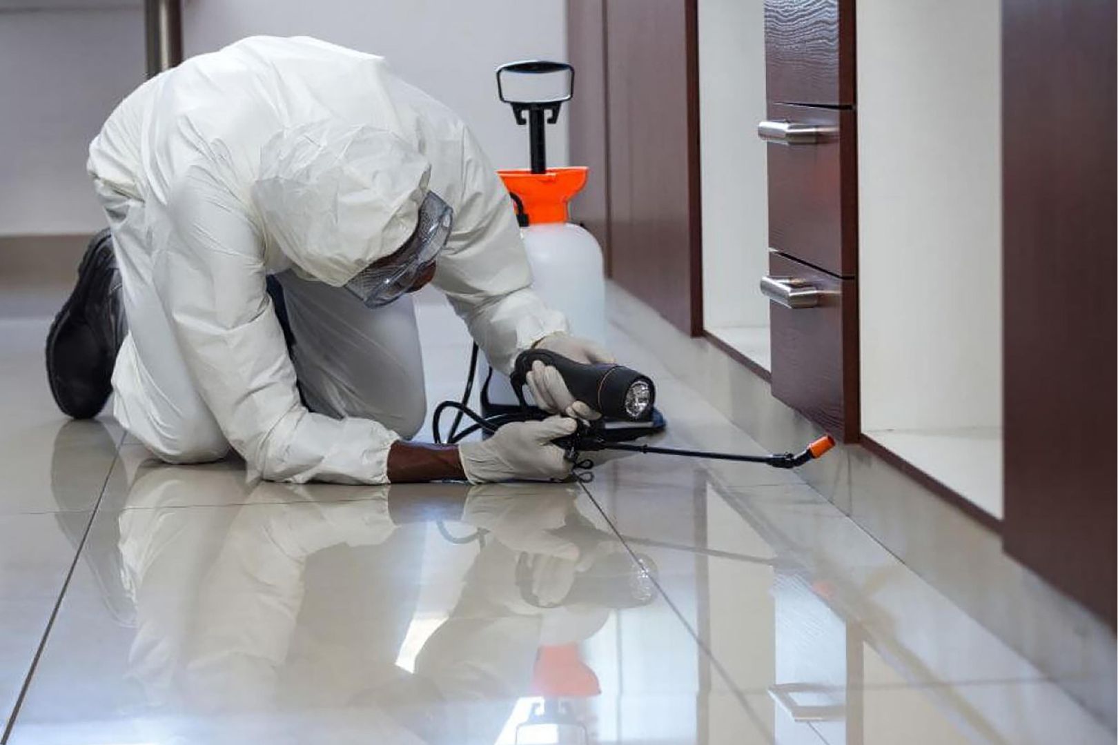 Como Preparar a Casa para Dedetizacao Segura